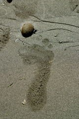 footprints in sand
