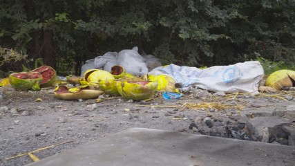 The driver throw garbage on the side of the road  