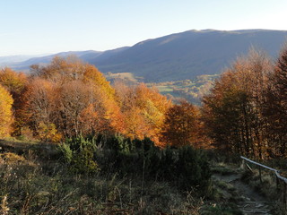 Jesień w Bieszczadach, Polska