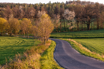 road in Spring