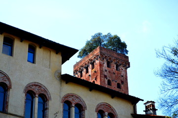 View of the Italian Tuscany Town of Lucca Italy with a Red Brick Tower Topped With Live Green Growing Trees