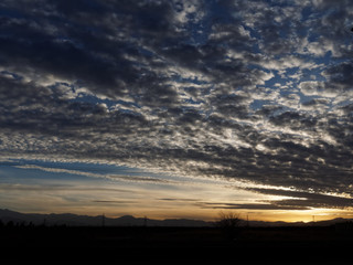 Fototapeta premium OLYMPUS DIGITAL CAMERA