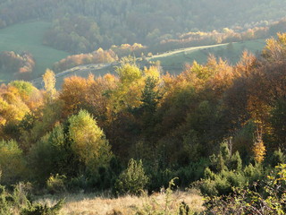 Jesień w Bieszczadach, Polska