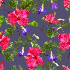 Hibiscus flower isolated on white background - vector illustration