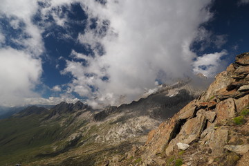 Fototapeta premium OLYMPUS DIGITAL CAMERA