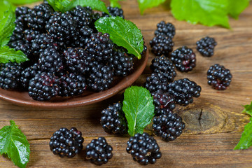 Ripe blackberry with green mint