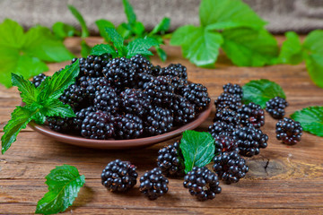 Ripe blackberry with mint leaves