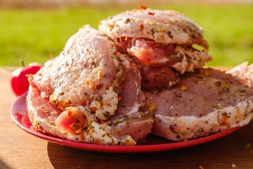 Raw meat beef steak grill,  picnic closeup.