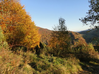 Jesień w Bieszczadach, Polska
