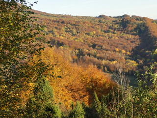 Jesień w Bieszczadach, Polska