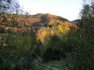 Jesień w Bieszczadach, Polska