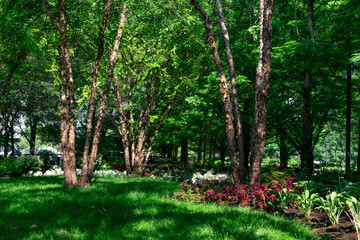 Garden area with Shade and Trees at the Lake Shore East Park in Chicago