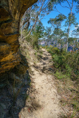 Obraz premium hiking the pulpit rock track, blue mountains national park, australia 23
