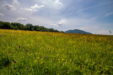 Zielone wzgórza © Anna Granat