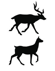 Vector flat black silhouette of deer isolated on white background