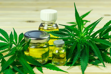 glass bottles, different shapes, with hemp oil among hemp leaves, light wooden background