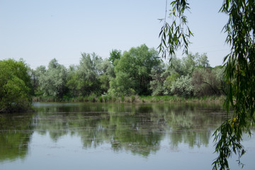 Obraz premium lake in deep forest