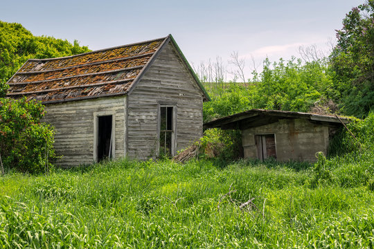 Abandoned house and shed surrounded by grass and bushes.  Image taken in the Palouse, Washington