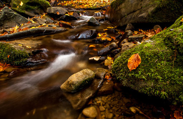 Górski strumień © Anna Granat