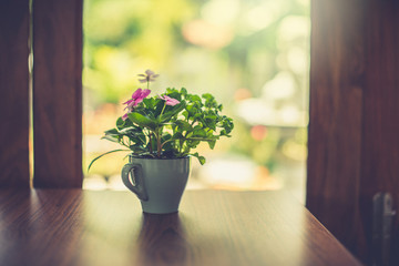 Flower vase in cafe with vintage color style.