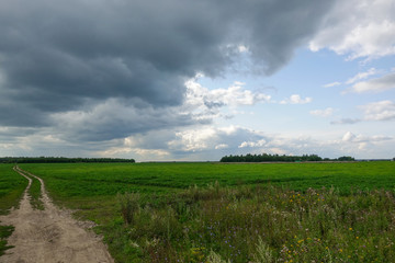 Dramatic countryside landscape with thunderclouds in the sky over a wheat field.