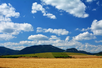 widok na pola i góry © robert6666