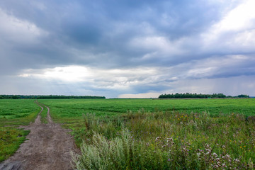 Landscape with thunderclouds over a green field. Russia Moscow region