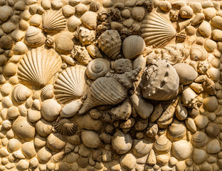 Muscheln und Schnecken Steinmuster