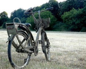 porzucony stary rower stojący na łące