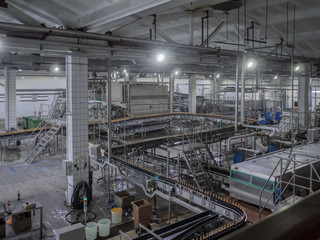 Fototapeta premium Equipment for making beer..Automatic Beer bottling line. modern brewery. production process of brewing. Beer production mode. Interior view of modern conveyor shop for bottling products