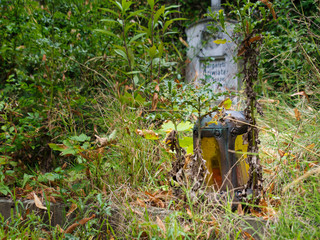 Grableuchte auf verwildertes Grab. 