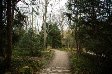 A path through the woods.