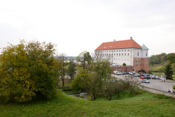 Fototapeta na wymiar Castle in Sandomierz