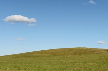 Fototapeta premium Russia. Western Siberia. The foothills of the Altai mountains