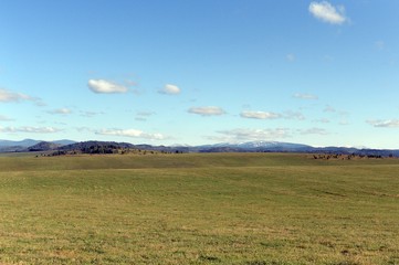 Obraz premium Russia. Western Siberia. The foothills of the Altai mountains