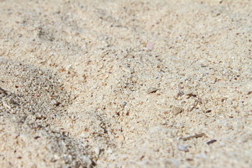 Sand