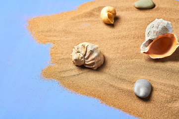 Seashells, stones and scattered dry sand on blue scratched concrete. Space for text
