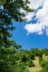 Beautiful summer landscape in Savsat, Artvin province, Turkey