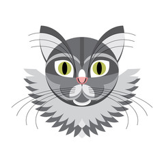 Face gray cat