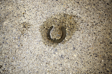 Horseshoe footprint