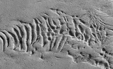 Ripples in wet sand background texture.