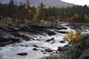 River floating around stones in autumn