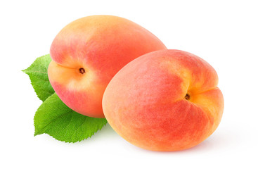 Two pink apricot fruits over leaves isolated on white background with clipping path apricots