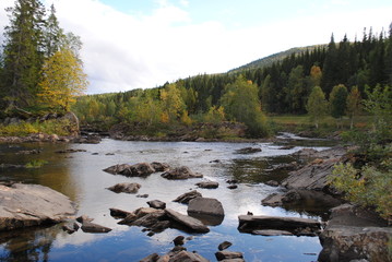 River with stones and trees at the sides