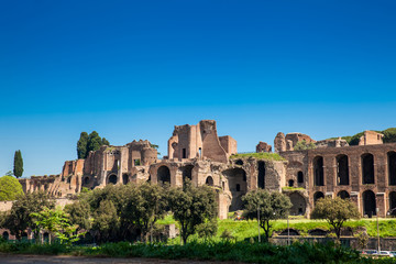 Temple of Apollo Palatinus on Palatine Hill of ancient Rome and Circus Maximus