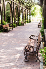 Fototapeta na wymiar selective focus of wooden bench near green leaves and walkway