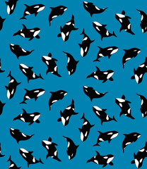 Vector seamless pattern of hand drawn killer whale swimming on blue background. Texture with jamb of Orca