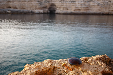 Musical instrument glucophone on a rocky seashore