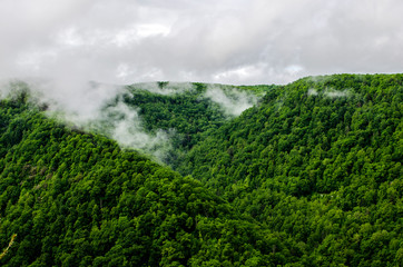 Low Clouds in the Mountains