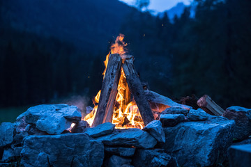 Camping bonfire with yellow and red flames in summer, forest. Copy space.